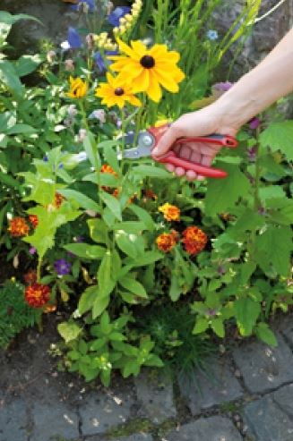 WOLF-GARTEN Medium Anvil Secateurs - Image 2