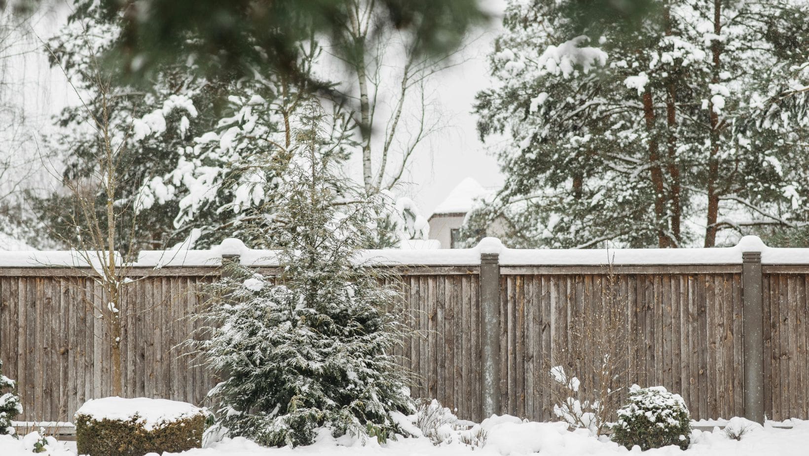 a garden fence and trees covered in snow