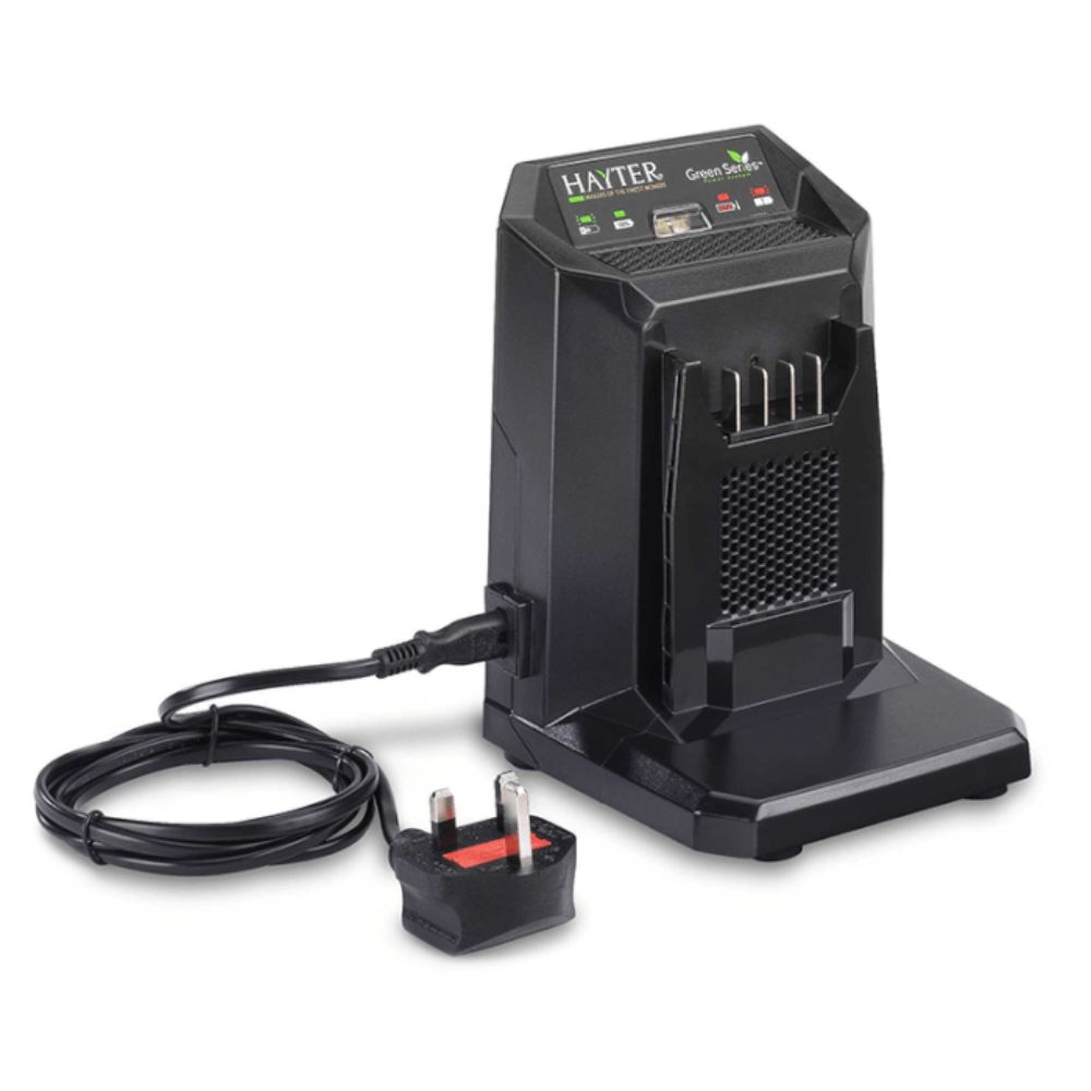 TORO Flex-Force 60V Standard Charger (2 Amp) - Image 2